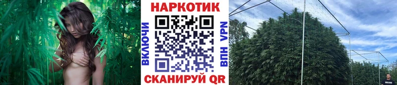 Как найти наркотики Асино Марихуана APVP Cocaine Гашиш Мефедрон