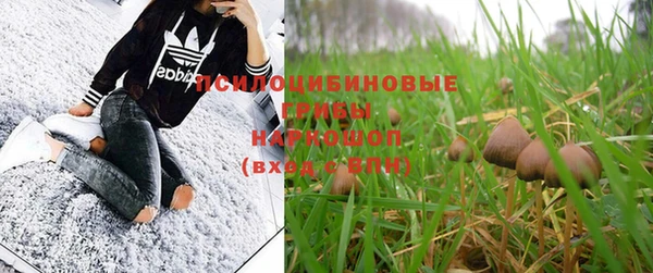 ешки Няндома