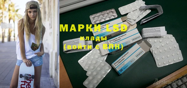 стаф Арсеньев