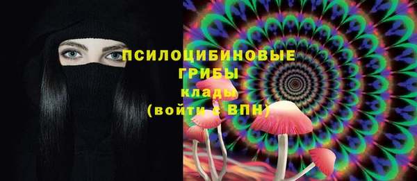 дживик Армянск