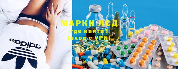 стаф Арсеньев