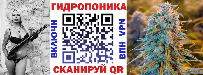 МАРИХУАНА сатива  закладка  Асино 